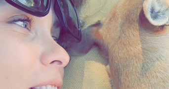 laëtitia pet sitter à BRIVE LA GAILLARDE 19100_3