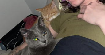 nina pet sitter à TOULOUSE 31200_2