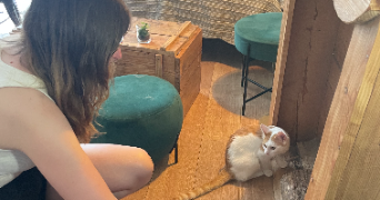manon pet sitter à ANGERS 49000_2