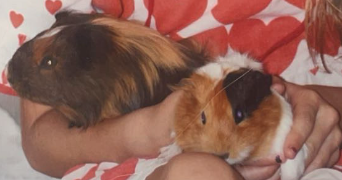 marlène pet sitter à Vieux-boucau les bains 40480_1