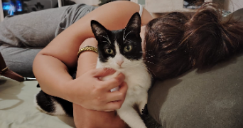 rachel pet sitter à MONTPELLIER 34000_6