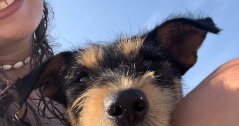 florianna pet sitter à Alfortville 94140_2