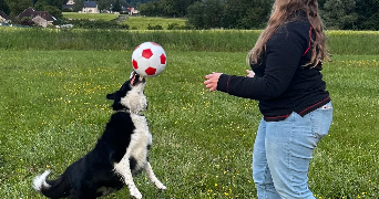 noemie pet sitter à TROSLY BREUIL 60350_2
