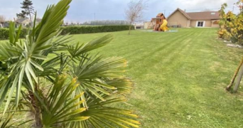 lydie pet sitter à AUDRUICQ 62370_5