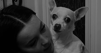 elodie pet sitter à LE LAVANDOU 83980_1