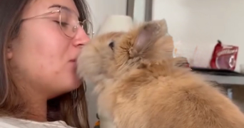 aurélie pet sitter à Saint jean de vedas 34000_1