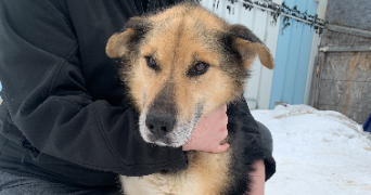 chloé pet sitter à ROUEN 76100_7