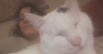 célia cat sitter à NANTES 44000_3