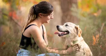 ambre pet sitter à MARCILLY EN GAULT 41210