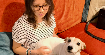 lanh pet sitter à ST CLOUD 92210_3