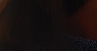 alexia pet sitter à VERTOU 44120_0