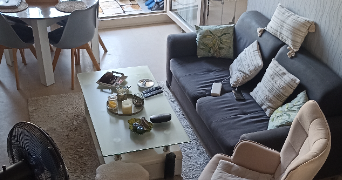 sara pet sitter à ECOUEN 95440_2