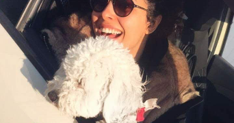 habiba dog sitter à LILLE 59800_6