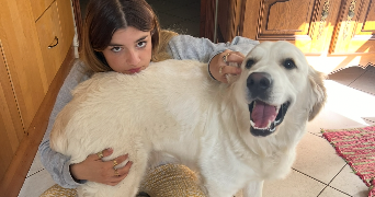 marie dog sitter à PARIS 17 75017_2