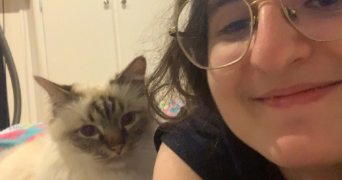 inès cat sitter à VALENCIENNES 59300_3