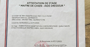 remi pet sitter à ST XANDRE 17138_2