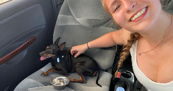 marilou pet sitter à MAUREPAS 78310_5