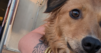 elodie pet sitter à CAEN 14000_1