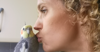 emmanuelle pet sitter à DOMONT 95330_0