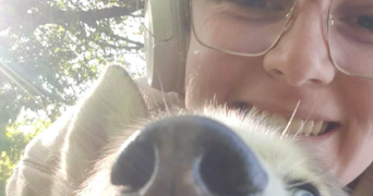 nolwenn pet sitter à LANDUJAN 35360_1