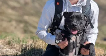maya pet sitter à GENNES VAL DE LOIRE 49350