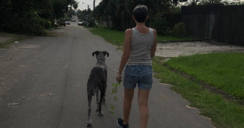 sophie pet sitter à PARIS 17 75017_1