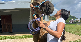 leïah pet sitter à ROUBAIX 59100_1