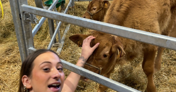 anggun pet sitter à TARBES 65000_1