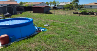 cécilia pet sitter à VILLEMUR SUR TARN 31340_1