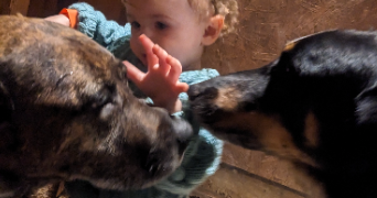 nolwenn pet sitter à FAUCH 81120_4