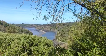 cassilda pet sitter à MONTAIGU VENDEE 85600