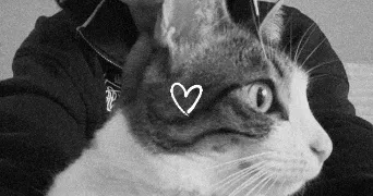 oceane pet sitter à Rocbaron 83136