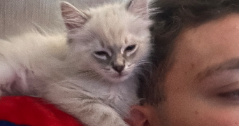 ilona pet sitter à Caen 14000_6