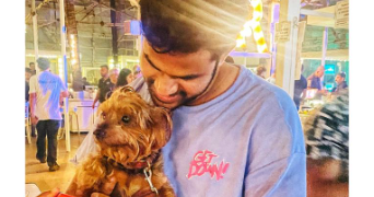 saikiran pet sitter à SARTROUVILLE 78500_3