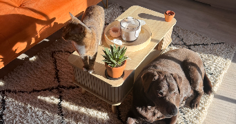 aurelie pet sitter à MARQUETTE LEZ LILLE 59520_1
