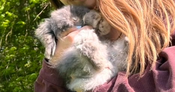 sara pet sitter à LE CHESNAY ROCQUENCOURT 78150_2