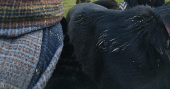 annabelle pet sitter à MARSEILLE 05 13005_9