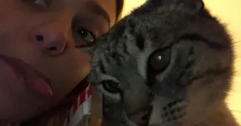 juliane pet sitter à BORDEAUX 33800