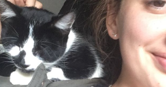 manon pet sitter à ST AVERTIN 37550_0