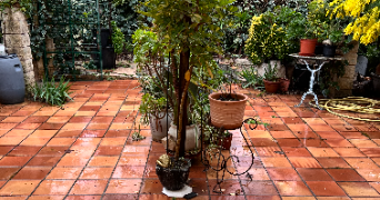 claudia pet sitter à TOULON 83200_3