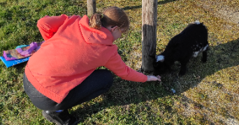 elodie pet sitter à STE JAMME SUR SARTHE 72380_2