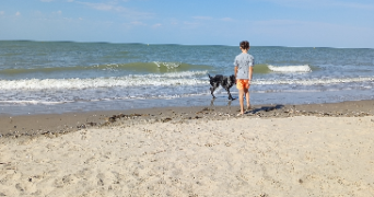 marie pet sitter à DANNES 62187_0