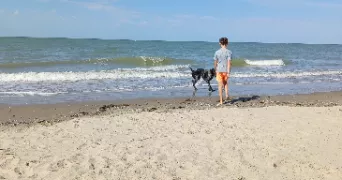 marie pet sitter à DANNES 62187