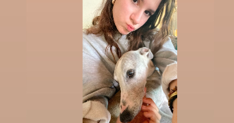 maléna pet sitter à CAEN 14000_1