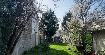 anne-claire pet sitter à LIBOURNE 33500_4