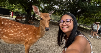 lilou pet sitter à TOULOUSE 31200_1
