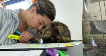 adele pet sitter à CHANTEPIE 35135_1