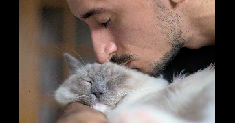 romain cat sitter à GUJAN MESTRAS 33470_0