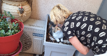yvonne pet sitter à MONTELIMAR 26200_3