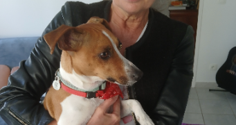nathalie pet sitter à MERVILLE FRANCEVILLE 14810_6